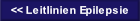 << Leitlinien Epilepsie.